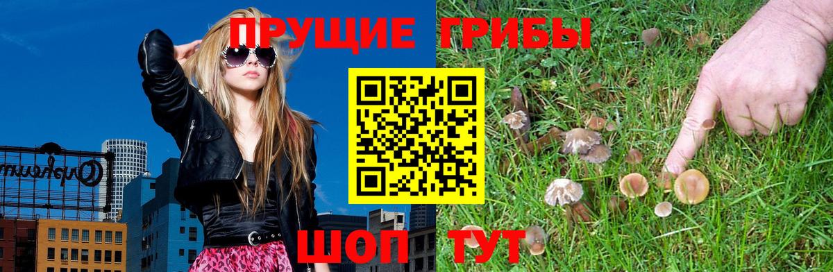 Галлюциногенные грибы GOLDEN TEACHER  Вход с VPN  Элиста  Галлюциногенные грибы ЛСД 
