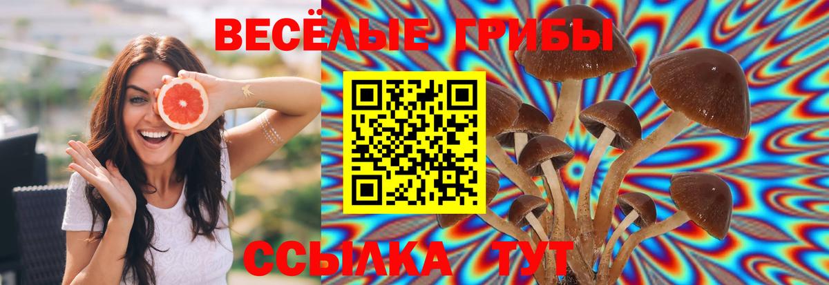 Галлюциногенные грибы мухоморы Элиста